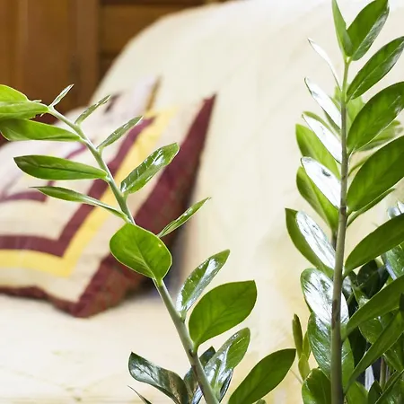 Quintinha Do Azemel Guest house *