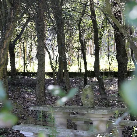 Quintinha Do Azemel Batalha